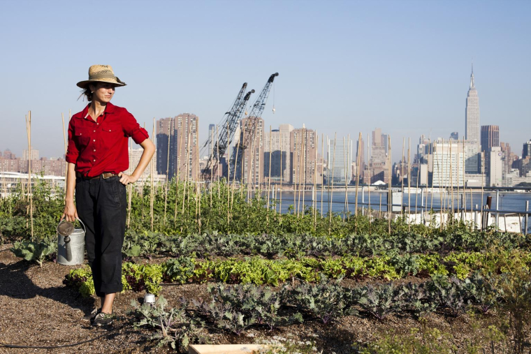 De plus en plus de villes mettent en place des projets d’agriculture urbaine crédit photo : Getty images