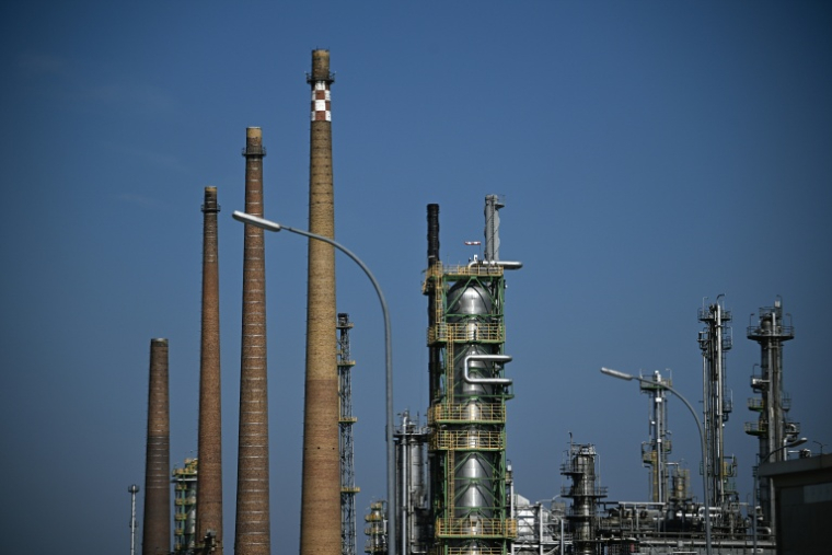 La production mondiale de pétrole, de charbon et de gaz a augmenté  ( AFP / Tobias SCHWARZ )