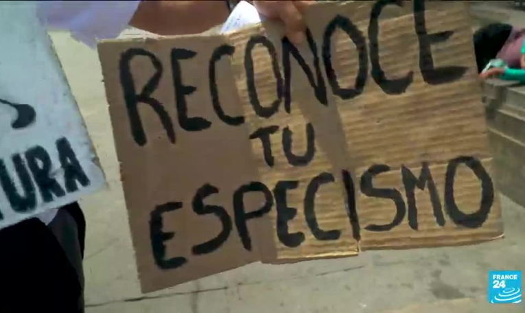 "C'est une pratique barbare" : des militants dénoncent le retour des corridas au Pérou