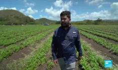 Cyberattaque aux États-Unis : l'administration Biden à l'offensive