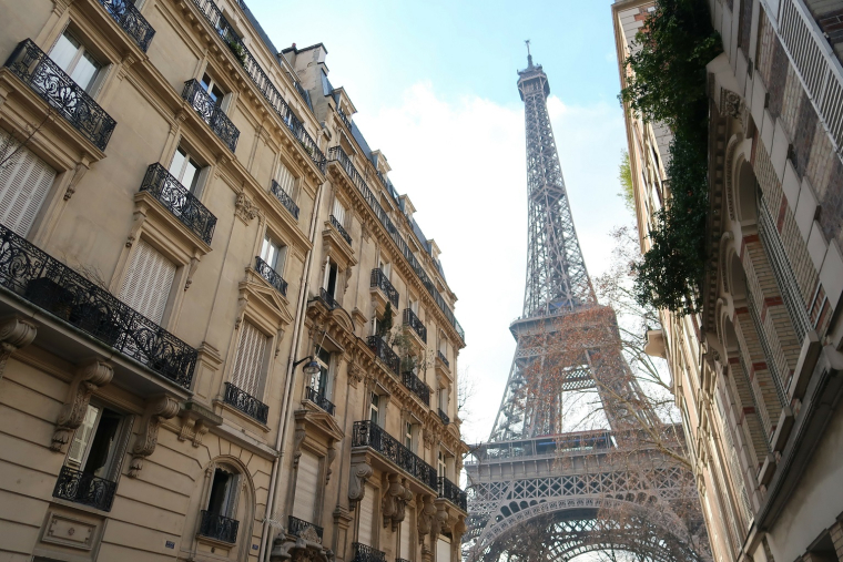 Les appartements haussmanniens - Appartement français