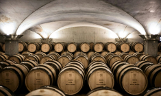 Des fûts entreposés avant la vente aux enchères caritative des vins des Hospices de Beaune, à Beaune, le 20 novembre 2022 ( AFP / JEFF PACHOUD )