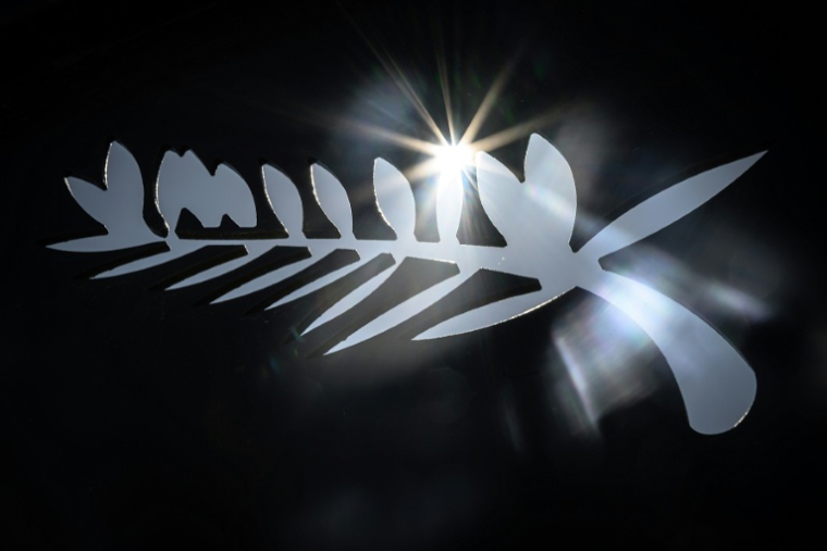 Le logo de la Palme d'Or à la veille du 76e Festival de Cannes, à Cannes, dans le sud-est de la France, le 15 mai 2023 ( AFP / Loic VENANCE )