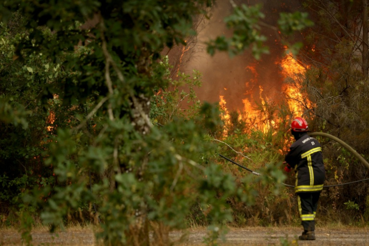 Un pompier lutte contre un incendie de forêt à Blagon, à l'ouest de Bordeaux, le 26 juillet 2026  ( AFP / ROMAIN PERROCHEAU )