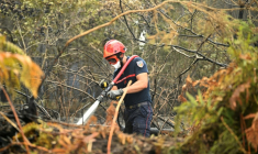 Un pompier arrose le sous-bois lors d'un feu de forêt à Luglon, le 16 août 2026 dans les Landes ( AFP / Gaizka IROZ )
