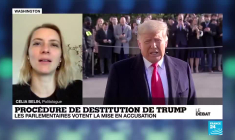 Procédure de destitution de Donald Trump : les parlementaires votent la mise en accusation