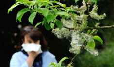 Une femme allergique au pollen, le 18 mai 2013 dans le nord de la France ( AFP / Philippe HUGUEN )