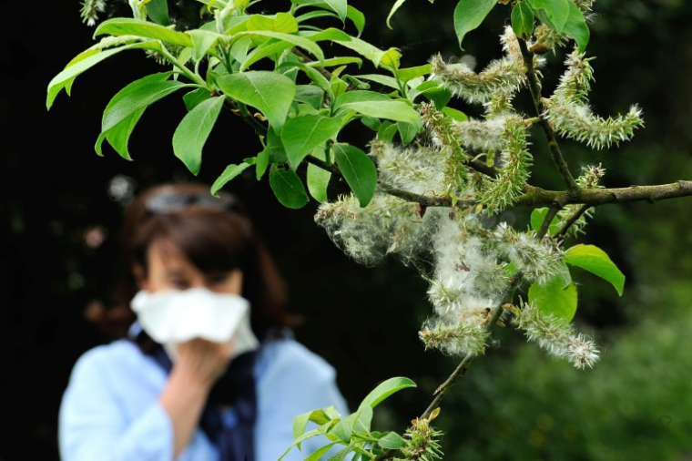 Une femme allergique au pollen, le 18 mai 2013 dans le nord de la France ( AFP / Philippe HUGUEN )