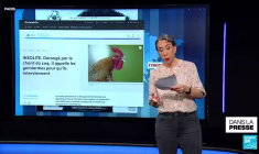 Catastrophe maritime en mer du nord: "Collision en eaux troubles ?"