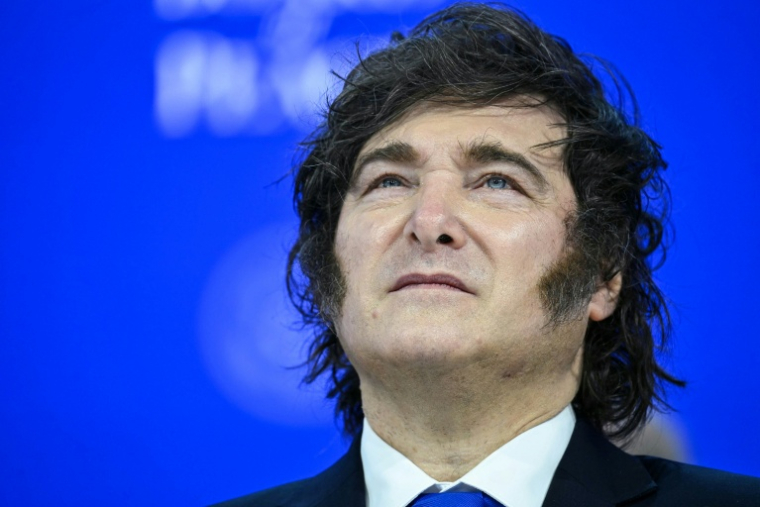 Le président argentin Javier Milei le 22 janvier 2026, à Davos, en Suisse ( AFP / Mandel NGAN )