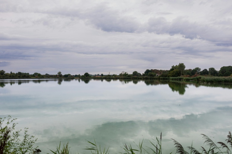 Vue des marais d'Harchies, une zone naturelle protégée belge, le 21 août 2026 à Bernissart dans le sud-ouest du pays ( AFP / Sameer Al-DOUMY )