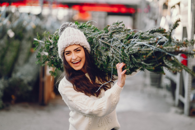 En France, environ 6 millions de sapins naturels sont achetés chaque année. (crédit : Adobe Stock)