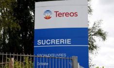 Photo d'archives du logo Tereos à l'entrée de la sucrerie Tereos