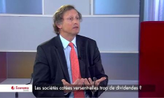 Les sociétés cotées versent-elles trop de dividendes ? (VIDEO)