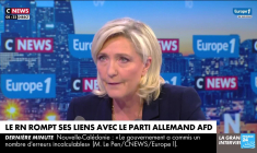 Allemagne : l'AfD sanctionne sa tête de liste aux Européennes