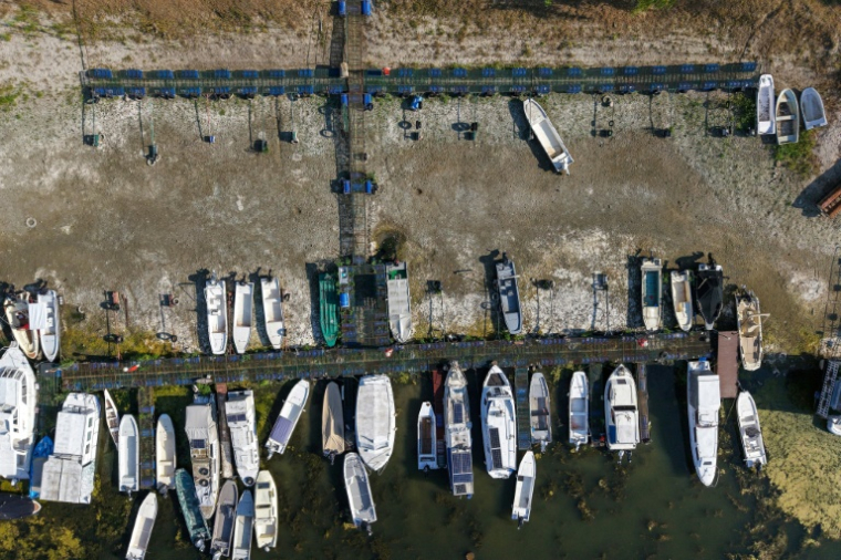 Des bateaux échoués sur une rive asséchée du Danube près de Novi Sad, en Serbie, le 27 juillet 2026 ( AFP / Nenad MIHAJLOVIC )