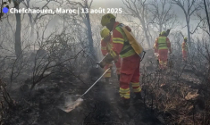 Maroc: poursuite des efforts pour maîtriser des feux de forêts dans le nord