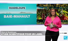 Ces familles qui renoncent à se rendre aux Antilles pour les fêtes de fin d'année