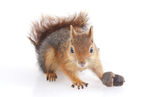 (Crédits: Unsplash - Önder Örtel)