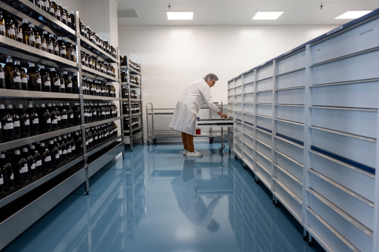 ( AFP / ROMAIN LAFABREGUE )