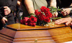 (Crédits photo: © Nelia2- stock.adobe.com)