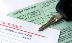 Fin de la carte verte le 1er avril-iStock-Gilles_Paire.jpg