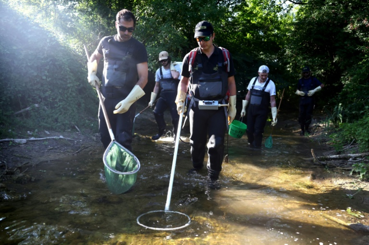 Des membres de la fédération de pêche de Charente recherchent dans le lit presque asséché de la rivière Nouère des poissons encore vivants à transférer dans la Charente, plus remplie, le 31 juillet 2025 ( AFP / ROMAIN PERROCHEAU )
