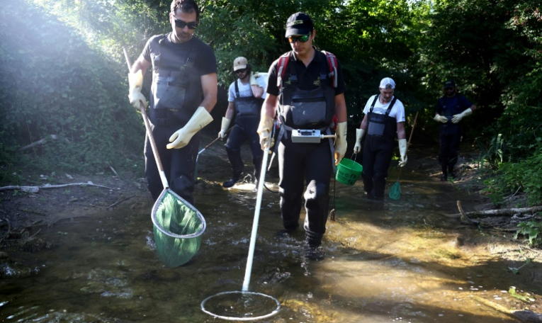 Des membres de la fédération de pêche de Charente recherchent dans le lit presque asséché de la rivière Nouère des poissons encore vivants à transférer dans la Charente, plus remplie, le 31 juillet 2025 ( AFP / ROMAIN PERROCHEAU )