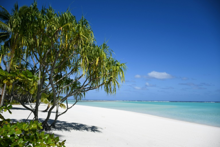 Une plage de l'île privée de Nukutepipi dans l'archipel polynésien des Tuamotu, le 18 juillet 2019 ( AFP / Mike LEYRAL )