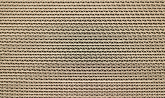 Les atouts des maisons en carton / iStock-IpekMorel