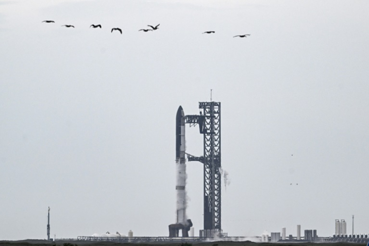 La mégafusée Starship de SpaceX sur son pas de tir, à Starbase, au Texas, le 25 août 2025 ( AFP / RONALDO SCHEMIDT )