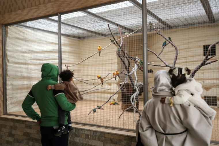 Au zoo de Tripoli après sa réouverture, le premier jour de la fête de l’Aïd al-Fitr, après près de 17 ans de fermeture, le 20 mars 2026 ( AFP / Mahmud Turkia )