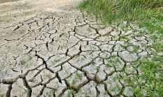 Quelque 10,5 millions de maisons seraient visées par un risque moyen ou fort de sécheresse, selon le Bureau de recherches géologiques et minières (jodylehigh / Pixabay)