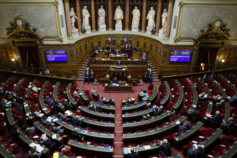 ( AFP / THOMAS SAMSON )