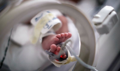 PAS DE BABY-BOOM LIÉ AU CONFINEMENT EN EUROPE AVEC L'INCERTITUDE ÉCONOMIQUE