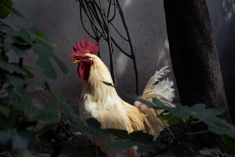 (Crédits: Unsplash - Iñaki G. Vázquez)