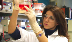 Le médicament de Nicox pourrait représenter 50 à 100 millions d'euros de chiffre d'affaires. (© Nicox)