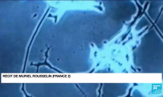 Neuralink : la start-up d'Elon Musk autorisée à réaliser des tests sur des humains