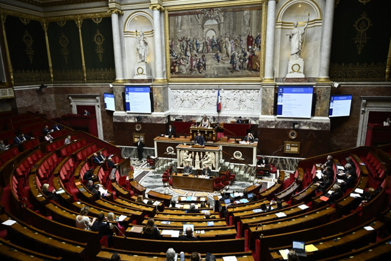 ( AFP / JULIEN DE ROSA )