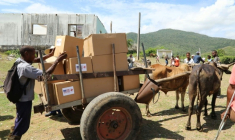 Capture d'écran d'AFPTV montrant des  bénévoles de Caritas distribuant de l'aide humanitaire envoyée des Etats-Unis aux habitants touchés par l'ouragan Melissa en octobre 2025 dans la communauté rurale de Hongolosongo, dans l'est de Cuba, le 13 juin 2026 ( AFP / AFPTV STRINGER )