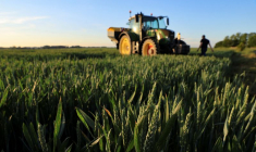 CLIMAT: DES INVESTISSEURS RÉCLAMENT UN PLAN MONDIAL SUR LES ÉMISSIONS DU SECTEUR AGRICOLE