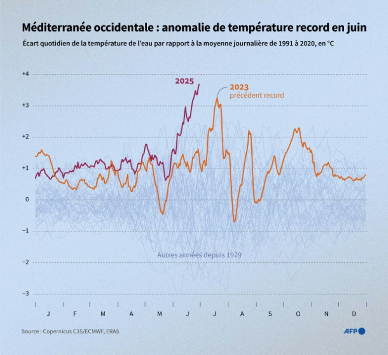 Anomalies quotidiennes de la température de surface de la mer en Méditerranée occidentale de 1979 à 2025, par rapport à la moyenne de 1991-2020, en °C, d'après les données de Copernicus ( AFP / Laëtitia COMMANAY )