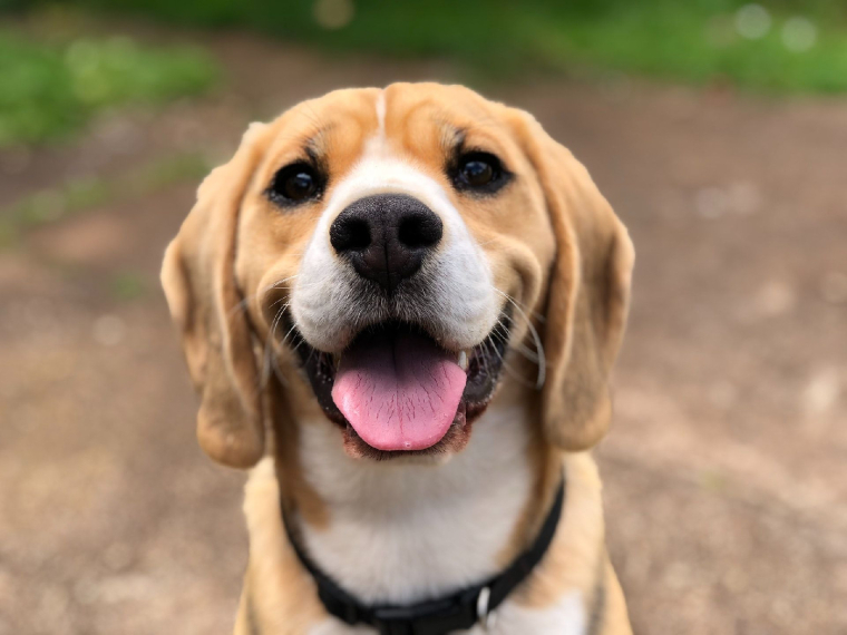(Crédits photo : Unsplash - Marliese Streefland )