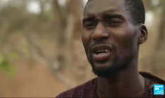 Sénégal : le trafic de bois précieux avec la Chine décime les forêts de Casamance