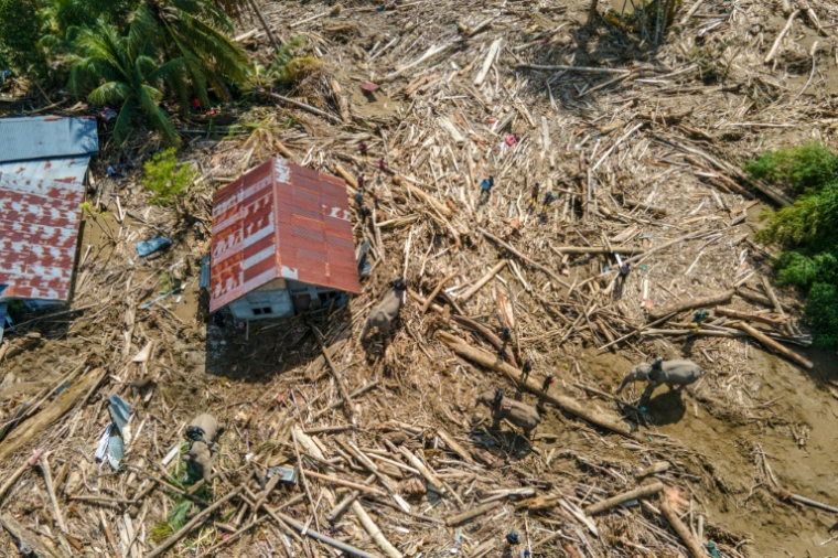 Vue aérienne d'éléphants de Sumatra aidant à dégager des débris d'arbres après des crues soudaines à Meureudu, dans la province d'Aceh, le 8 décembre 2025 en Indonésie ( AFP/Chaideer MAHYUDDIN / CHAIDEER MAHYUDDIN )