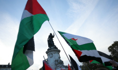 ( AFP / THOMAS SAMSON )