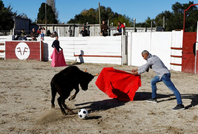 Un enseignant de l'école taurine d'Arles aux arènes du Monumental de Gimeaux à Arles