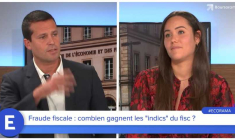 Fraude fiscale : combien gagnent les “indics" du fisc ?