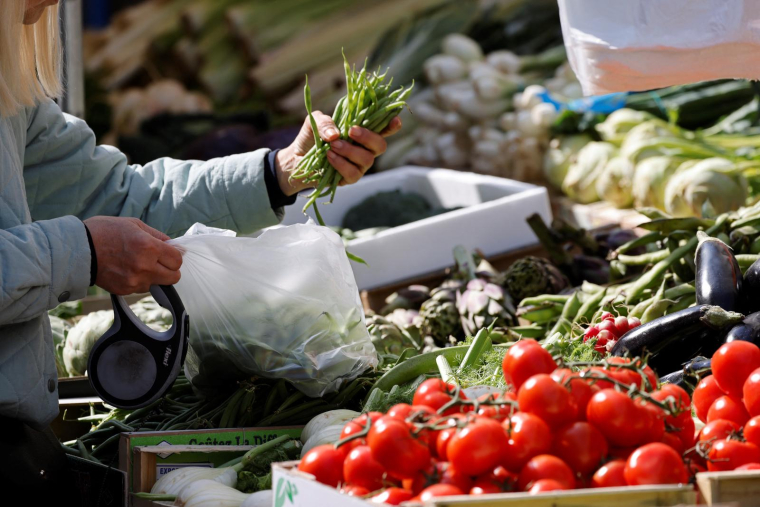 Le président de Légumes de France appelle à revoir les restrictions d'eau en vigueur pour préserver la production de légumes Origine France (illustration) ( AFP / LUDOVIC MARIN )