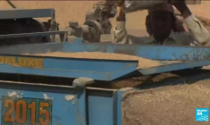 Réforme agricole : l'Inde va abroger trois lois controversées